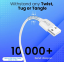 Cord Mobile USB to Micro USB EVM 1Mt